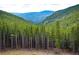 A scenic mountain view showcasing a lush green valley at 76 Raven Ridge Rd, Idaho Springs, CO 80452