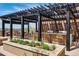 A rooftop terrace featuring a pergola with seating and a grilling area with bar at 250 Columbine St # 310, Denver, CO 80206