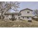 Backyard with patio set, grill, manicured lawn, mature tree, and privacy fence at 2311 E 96Th Way, Thornton, CO 80229