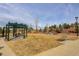 Community park including a pergola, swings, mature trees, and grassy areas at 431 Courtfield Way, Castle Pines, CO 80108