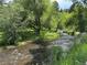 Scenic view of a clear stream flowing through a lush green landscape, surrounded by trees and grass at 26212 Center Dr, Kittredge, CO 80457