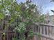 Wooden fence with foliage of purple flowers and green trees at 26212 Center Dr, Kittredge, CO 80457