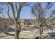 Scenic street view with mature trees, showcasing the surrounding neighborhood and buildings at 820 Kimbark St # B, Longmont, CO 80501