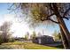 View of a gray single-story house with a well-maintained lawn and mature tree at 6190 Ivy St, Commerce City, CO 80022