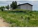 Rustic home featuring wood siding, mature trees and an expansive overgrown lot at 47904 Dartmouth Ave, Bennett, CO 80102