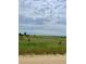 Grassy lot with few trees and distant hills, ready for your dream home or investment at 47904 Dartmouth Ave, Bennett, CO 80102