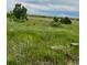 Scenic view of land with green grass and trees under a cloudy sky at 47904 Dartmouth Ave, Bennett, CO 80102