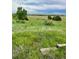 Expansive land with vibrant green grass and scattered trees under a partly cloudy sky at 47904 Dartmouth Ave, Bennett, CO 80102