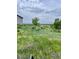 Lush grassy field, house structure in background, under a cloudy sky, ready for development at 47904 Dartmouth Ave, Bennett, CO 80102
