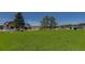 Backyard features an artificial turf sport court for recreational activities and Gathering fun at 13176 Frannys Way, Parker, CO 80138