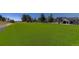 Spacious artificial turf sport court offers year-round play and recreation for the whole Gathering at 13176 Frannys Way, Parker, CO 80138