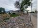 Lawn and landscaping surrounds charming single story home on residential street at 1009 Bush St, Brighton, CO 80601