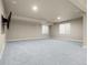 Spacious finished basement with recessed lighting, neutral walls, and plush carpet at 2344 S Lupine St, Denver, CO 80228