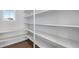 Walk-in pantry with painted shelves, bright light and stylish design at 10022 Wheeling St, Commerce City, CO 80022