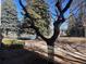 Scenic view through a window of a community pool, green trees, and a walking path at 8430 Little Rock Way # 102, Highlands Ranch, CO 80126