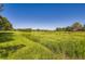 Expansive grassy landscape with lush green vegetation under a clear blue sky at 2223 S Buckley Rd # 102, Aurora, CO 80013