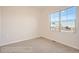Comfortable bedroom featuring a bright window, carpeted floors, and ample natural light at 903 W 129Th Pl, Westminster, CO 80234