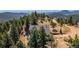 Overhead shot of a house featuring decks, surrounded by tall pine trees against a mountain backdrop at 251 Ridgeview Ln, Boulder, CO 80302