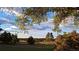 Open yard with grass and trees at 12798 Tomahawk Rd, Parker, CO 80138
