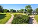 Scenic park view with lush green grass, walkway, mature trees, and gazebo at 6231 Indian Paintbrush St # 214, Frederick, CO 80530