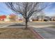 Street view of the neighborhood showcases well-maintained homes and mature trees at 11701 Elkhart St, Commerce City, CO 80603