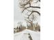 Snow-covered path with leafless trees in winter at 1818 S Quebec Way # 3-4, Denver, CO 80231