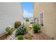 Landscaped side yard with rock gardens, lush plants, and a glimpse of the stone patio at 20835 E 47Th Ave, Denver, CO 80249