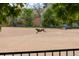 Dog park, trees, and running dog at 3055 N York St, Denver, CO 80205