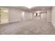 Finished basement offering a large recreational space and ample room for activities at 2342 Bellavista St, Castle Rock, CO 80109