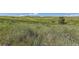 Pastoral land with rolling green hills and native vegetation providing an open range environment at 11074 Grayledge Cir, Highlands Ranch, CO 80130