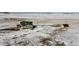 Aerial view highlights a peaceful homestead, complete with additional structures, all blanketed by snow and set against mountains at 11100 Haskell Creek Rd, Larkspur, CO 80118