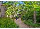 Lush backyard featuring gravel path, mature trees, and vibrant greenery at 3240 Spruce St, Denver, CO 80238