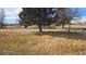 Spacious backyard showcasing mature trees, a swing, and ample space for outdoor activities at 15600 E 33Rd Pl, Aurora, CO 80011