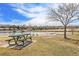 Scenic picnic area featuring a table and benches by a lake with geese, set against a backdrop of houses and a vibrant blue sky at 11274 W 54Th Ln, Arvada, CO 80002