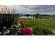 Scenic view of the pond, golf course, and lush green landscape from the property at 3751 W 136Th Ave # F4, Broomfield, CO 80023