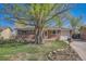 Charming brick home with a well-maintained lawn and mature shade trees in a quiet neighborhood at 1060 S Coffman St, Longmont, CO 80501