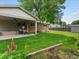 Spacious backyard with a covered patio, a brick house, and green lawn at 945 Emerald St, Broomfield, CO 80020