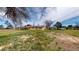 The backyard is expansive with lush, varied grasses, offering a tranquil and private outdoor space at 7409 S County Road 157, Strasburg, CO 80136