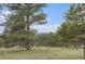 Picturesque view from property with mountain views framed by mature evergreens at 22453 Hillcrest Cir, Golden, CO 80401