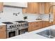 Kitchen with a professional-grade stainless steel stove and oven, light wood cabinets and white backsplash at 456 Cherry St, Denver, CO 80220