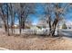 View of the home and surrounding yard from across the street and through a line of trees at 377 Stuart St, Denver, CO 80219