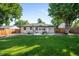 Spacious backyard with a concrete patio, lush green lawn, mature trees, and a charming home exterior at 5167 S Pearl St, Littleton, CO 80121