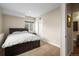 Bright bedroom featuring a large bed, neutral tones, and a window with natural light at 13979 Night Owl Ln, Parker, CO 80134