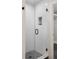 Modern glass door shower showcasing stylish tile and a convenient niche at 2506 16Th St, Denver, CO 80211