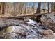 Scenic backyard creek with a charming wooden bridge, lush trees, and picturesque setting at 10179 S Turkey Creek Rd, Morrison, CO 80465