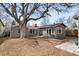 Charming backyard with mature tree providing shade to patio and back of house at 3270 S Washington St, Englewood, CO 80113