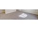 Finished basement area featuring neutral carpeting and white trim throughout at 6812 Indian Paintbrush St, Frederick, CO 80530
