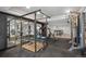 Home gym with weight rack, mirrors, and cardio equipment at 10918 Bellbrook Cir, Highlands Ranch, CO 80130