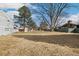 Expansive backyard lawn with mature trees and lush green grass, perfect for outdoor activities and relaxation at 7492 W Cedar Cir, Lakewood, CO 80226