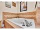 Close up view of bathroom soaking tub with tile surround at 720 Reid Pl, Castle Rock, CO 80108